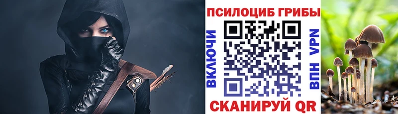 как найти закладки Карасук Псилоцибиновые грибы ЛСД